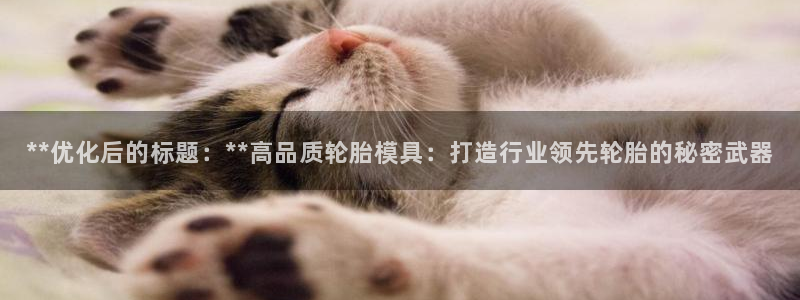 太阳集团网站入口：**优化后的标题：**高品质轮胎模具：打造行业领先轮胎的秘密武器