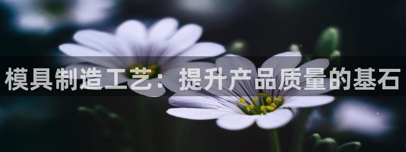 太阳成集团是干嘛的：模具制造工艺：提升产品质量的基石