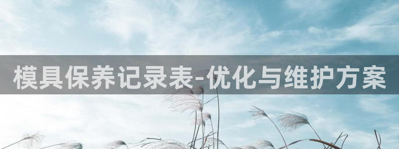太阳集团公司董事长：模具保养记录表-优化与维护方案