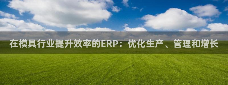 太阳集团是什么公司旗下的：在模具行业提升效率的ERP：优化生产、管理和增长