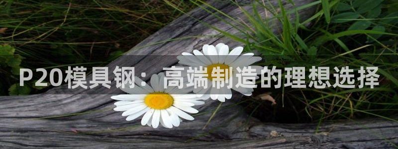 太阳成集团网站005
