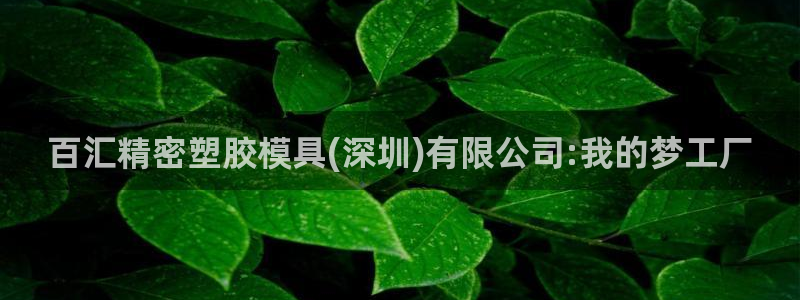 太阳gg登录首页：百汇精密塑胶模具(深圳)有限公司:我的梦工厂