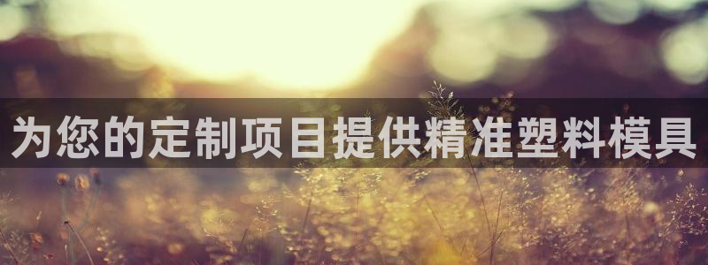 太阳集团游戏网址：为您的定制项目提供精准塑料模具