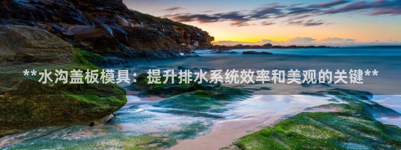 澳门太阳集团与古天乐：**水沟盖板模具：提升排水系统效率和美观的关键**