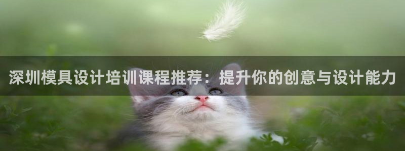 太阳2游戏娱乐官网：深圳模具设计培训课程推荐：提升你的创意与设计能力