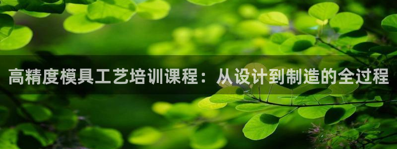 15vip太阳集团登录：高精度模具工艺培训课程：从设计到制造的全过程