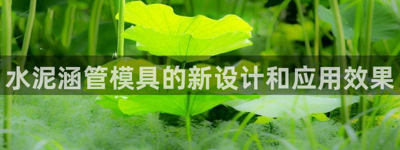 太阳诚集团有限公司有多少人