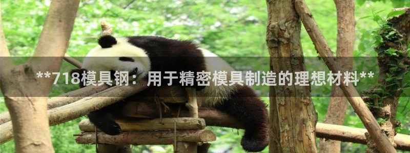 太阳集团游戏城旧版2.1.9：**718模具钢：用于精密模具制造的理想材料**