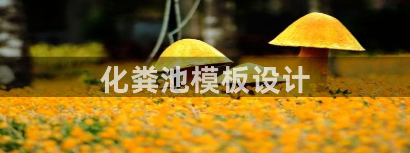 太阳手机游戏：化粪池模板设计