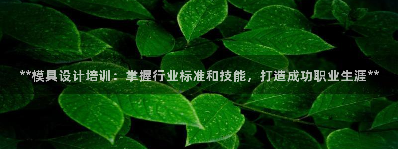 太阳成集团tyc234cc振兴：**模具设计培训：掌握行业标准和技能，打造成功职业生涯**