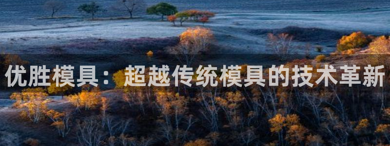 太阳集团城网官方入口：优胜模具：超越传统模具的技术革新