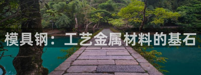 2018太阳集团游戏网站：模具钢：工艺金属材料的基石