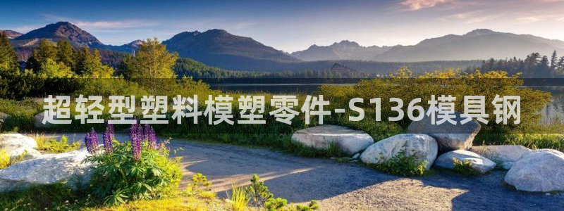 太阳sun网站：超轻型塑料模塑零件-S136模具钢