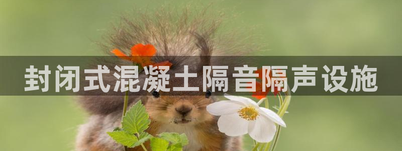 太阳集团是什么平台?：封闭式混凝土隔音隔声设施