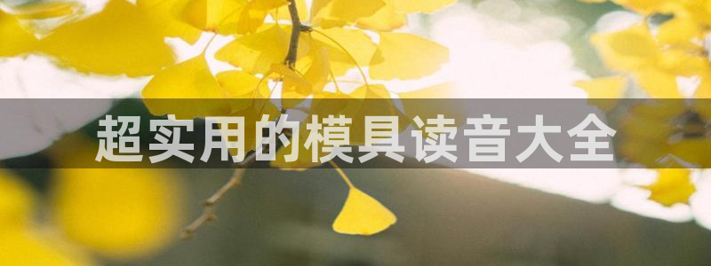 太阳集团城网站2017：超实用的模具读音大全