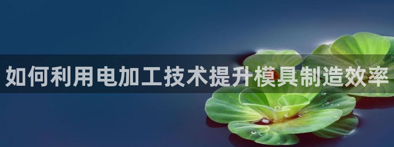 太阳成集团tyc234cc—首页欢迎您：如何利用电加工技术提升模具制造效率