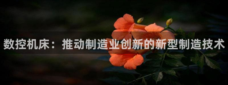 太阳游戏城：数控机床：推动制造业创新的新型制造技术