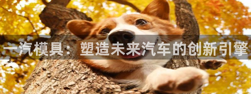 太阳成集团没有赌业吗：一汽模具：塑造未来汽车的创新引擎