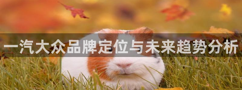 太阳sun网站：一汽大众品牌定位与未来趋势分析