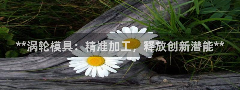 太阳控股集团有限公司董事长：**涡轮模具：精准加工，释放创新潜能**