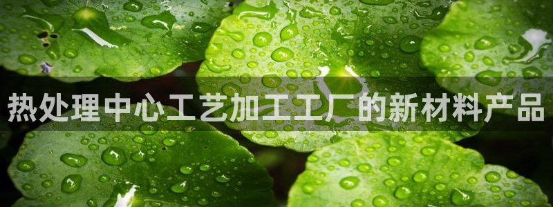 太阳成集团的官方网站：热处理中心工艺加工工厂的新材料产品