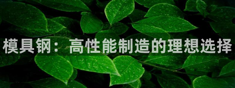 太阳集团入口官网网址：模具钢：高性能制造的理想选择