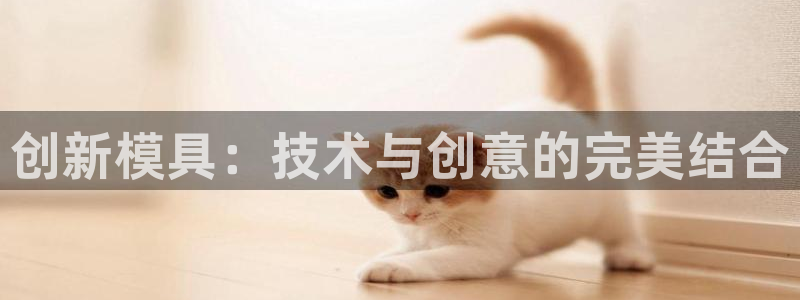 太阳集团城登录网址：创新模具：技术与创意的完美结合