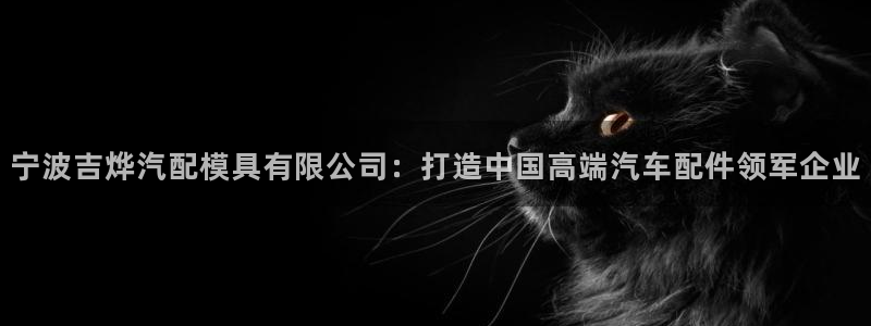 冷太阳什么意思：宁波吉烨汽配模具有限公司：打造中国高端汽车配件领军企业