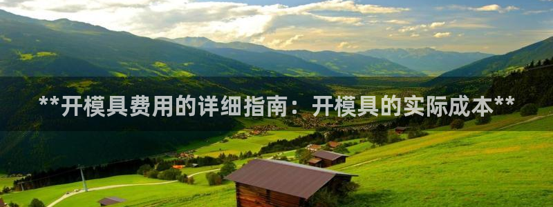 太阳gg会员登录：**开模具费用的详细指南：开模具的实际成本**