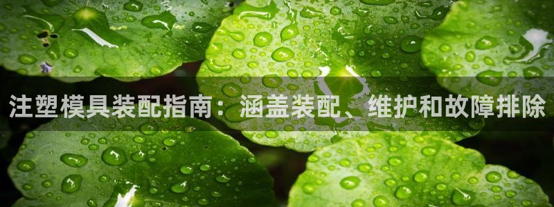 太阳成集团游戏：注塑模具装配指南：涵盖装配、维护和故障排除