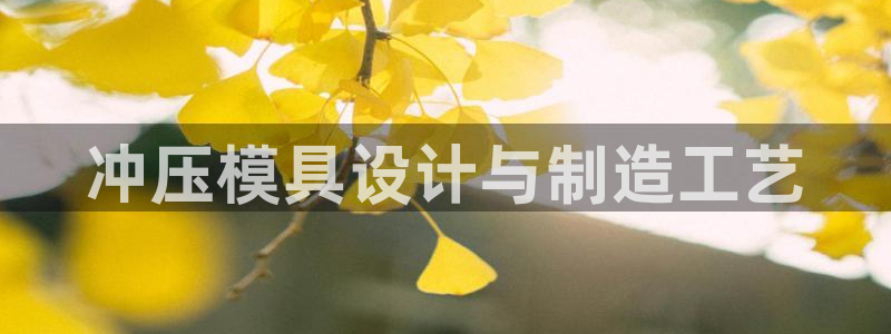 太阳集团电子游戏官方网站：冲压模具设计与制造工艺