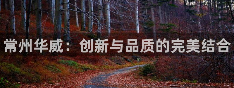 122cc太阳集成游戏官方网站：常州华威：创新与品质的完美结合