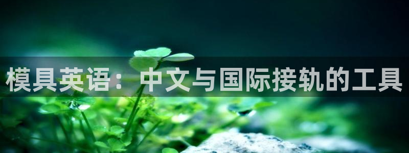 古天乐和太阳集团什么关系：模具英语：中文与国际接轨的工具