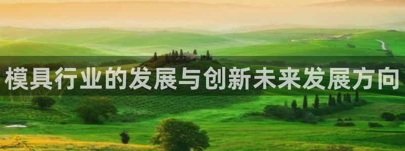 太阳成集团tyc234cc振兴：模具行业的发展与创新未来发展方向