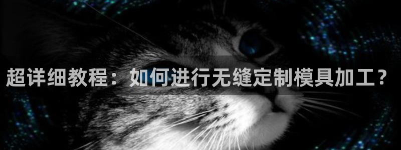 太阳阳城集团：超详细教程：如何进行无缝定制模具加工？