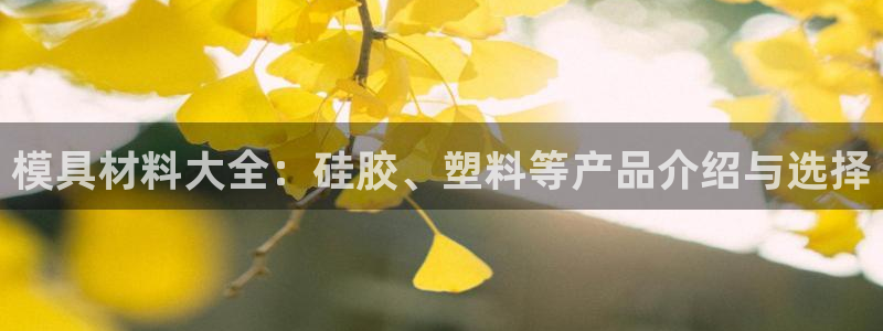 太阳集团tcy8722电子游戏：模具材料大全：硅胶、塑料等产品介绍与选择