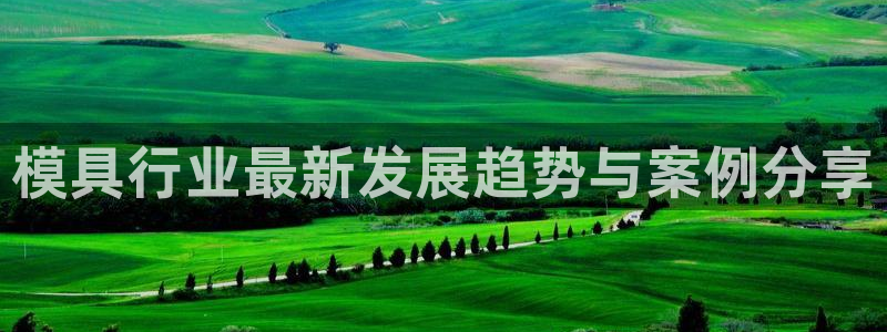 太阳手机游戏：模具行业最新发展趋势与案例分享