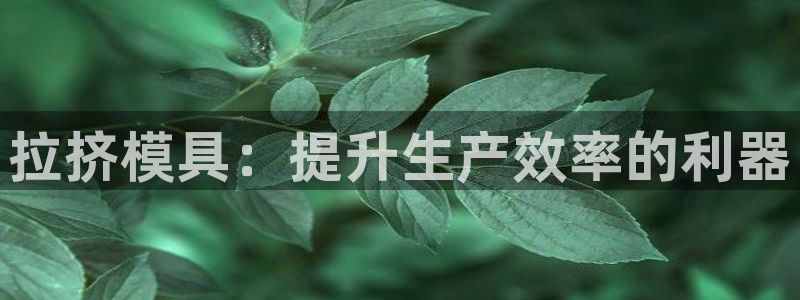 太阳诚集团电影：拉挤模具：提升生产效率的利器