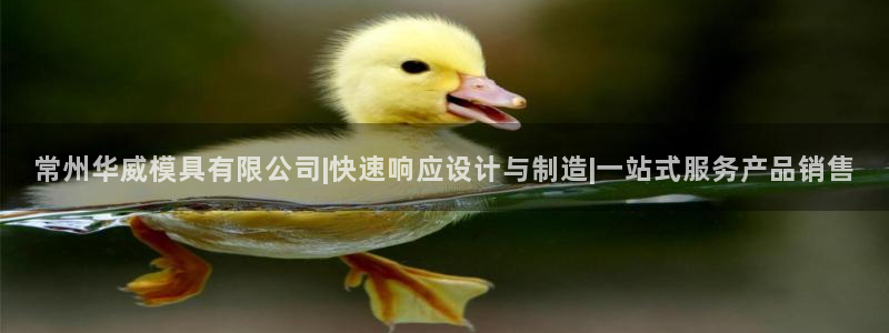 太阳集团城网站2017
