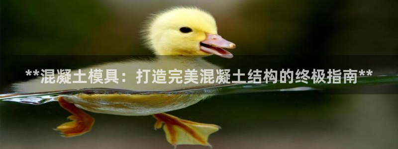 太阳集团电子游戏APP登录入口：**混凝土模具：打造完美混凝土结构的终极指南**