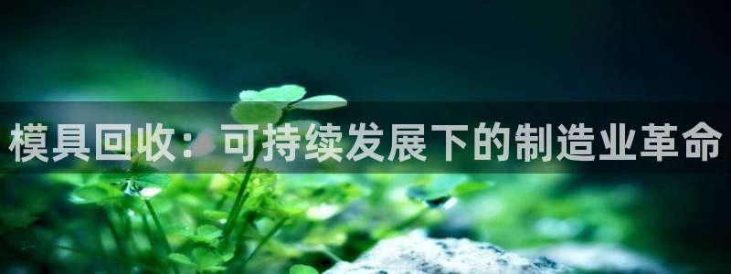太阳集市网上商城：模具回收：可持续发展下的制造业革命
