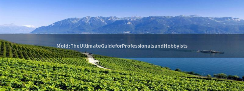 太阳集团游戏城旧版：Mold:TheUltimateGuideforProfessionalsandHobbyists