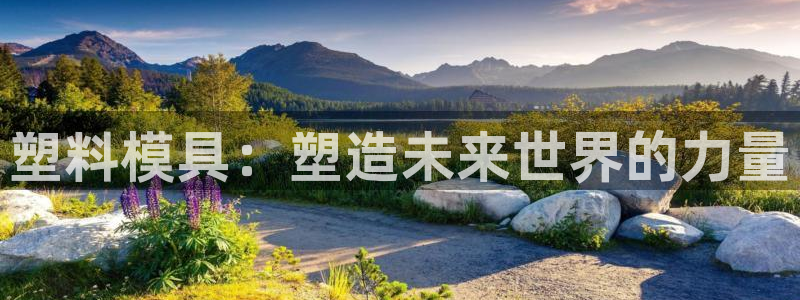 2007so太阳集团下载：塑料模具：塑造未来世界的力量