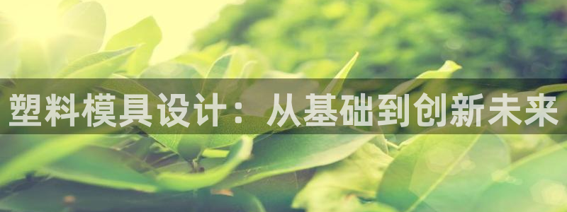 太阳集团电子游戏官方版：塑料模具设计：从基础到创新未来