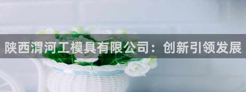 太阳集团城网站2007：陕西渭河工模具有限公司：创新引领发展