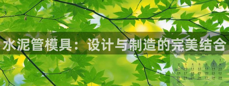 太阳影视公司：水泥管模具：设计与制造的完美结合