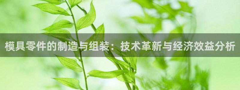 太阳成集团mmm671：模具零件的制造与组装：技术革新与经济效益分析