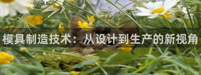 太阳集团城welcome：模具制造技术：从设计到生产的新视角