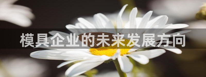 太阳集团城所有网址是多少：模具企业的未来发展方向