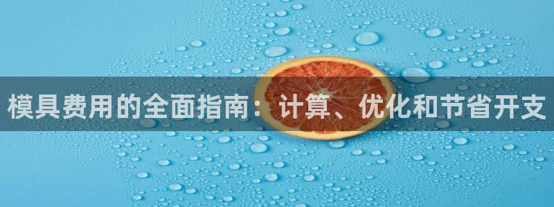 太阳app网页版：模具费用的全面指南：计算、优化和节省开支